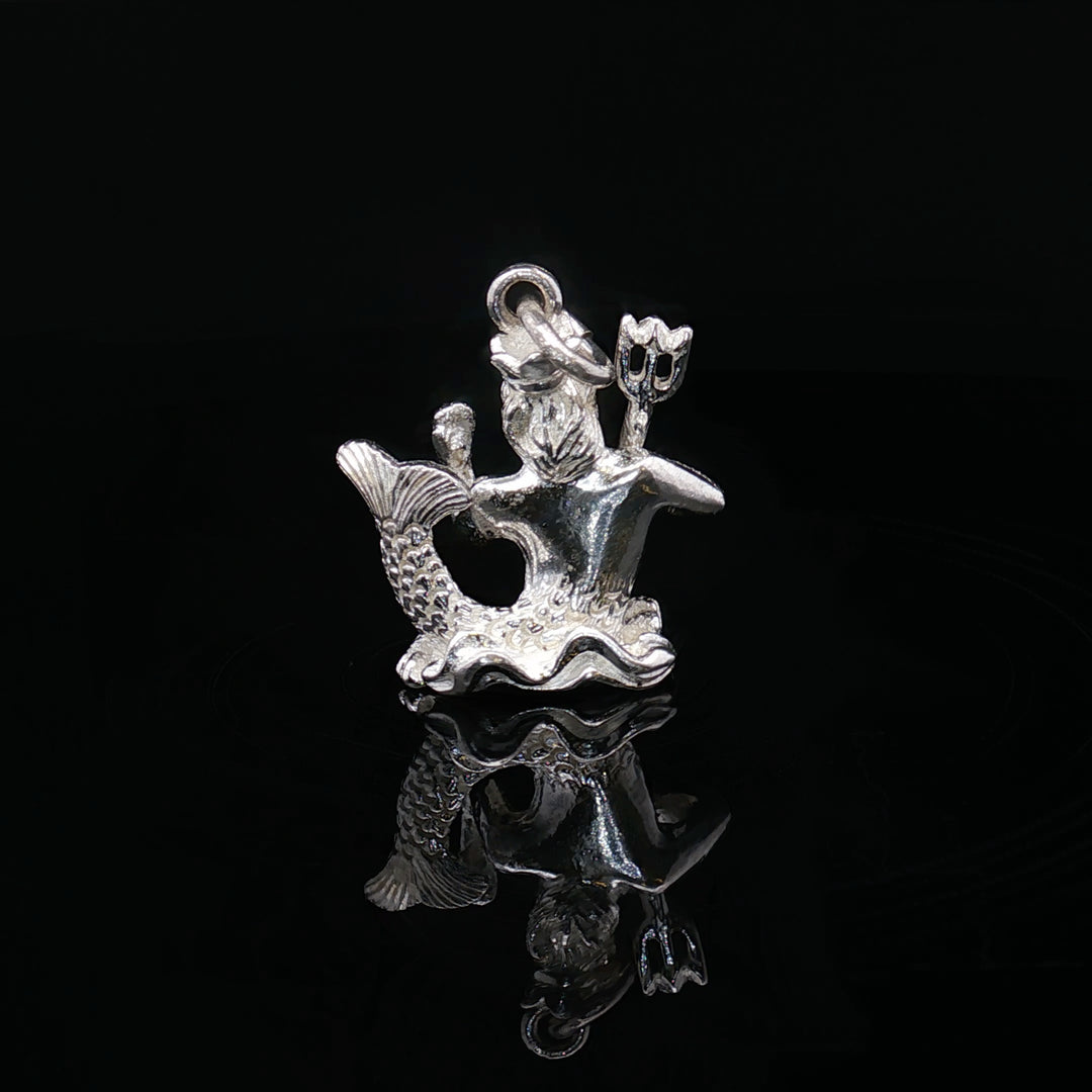 Capricorn — The Sea-Goat of Mastery

Solid Silver Zodiac Sculpture Charm