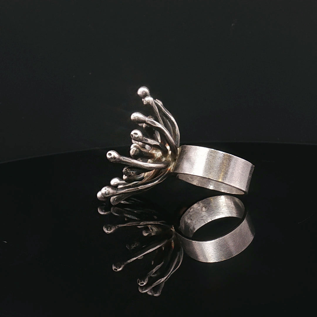 Dandelion of Wishes

Contemporary Sculptural Silver Ring – Collector’s Edition