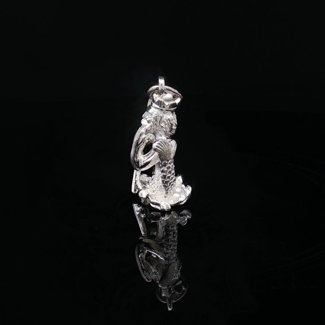 Capricorn — The Sea-Goat of Mastery

Solid Silver Zodiac Sculpture Charm