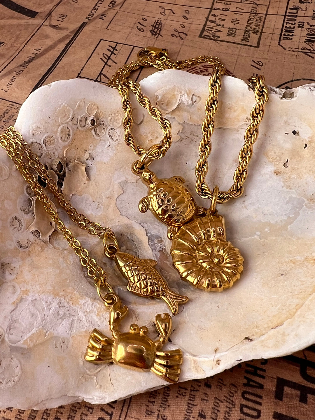 Golden Shell Amulet