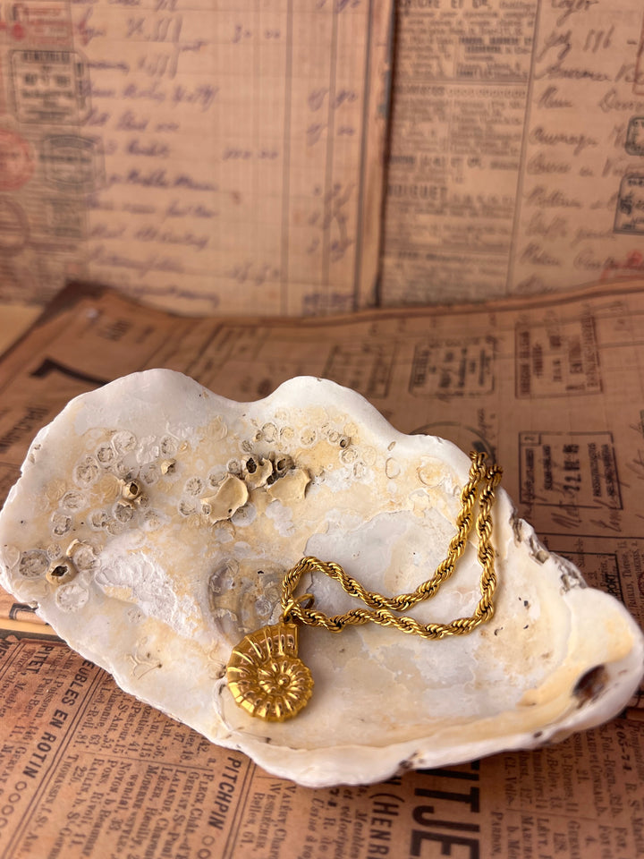 Golden Shell Amulet