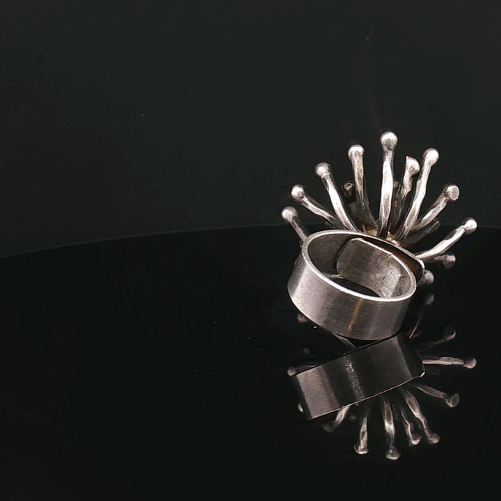 Dandelion of Wishes

Contemporary Sculptural Silver Ring – Collector’s Edition