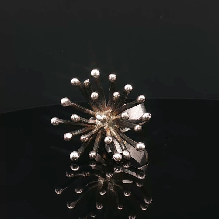 Dandelion of Wishes

Contemporary Sculptural Silver Ring – Collector’s Edition