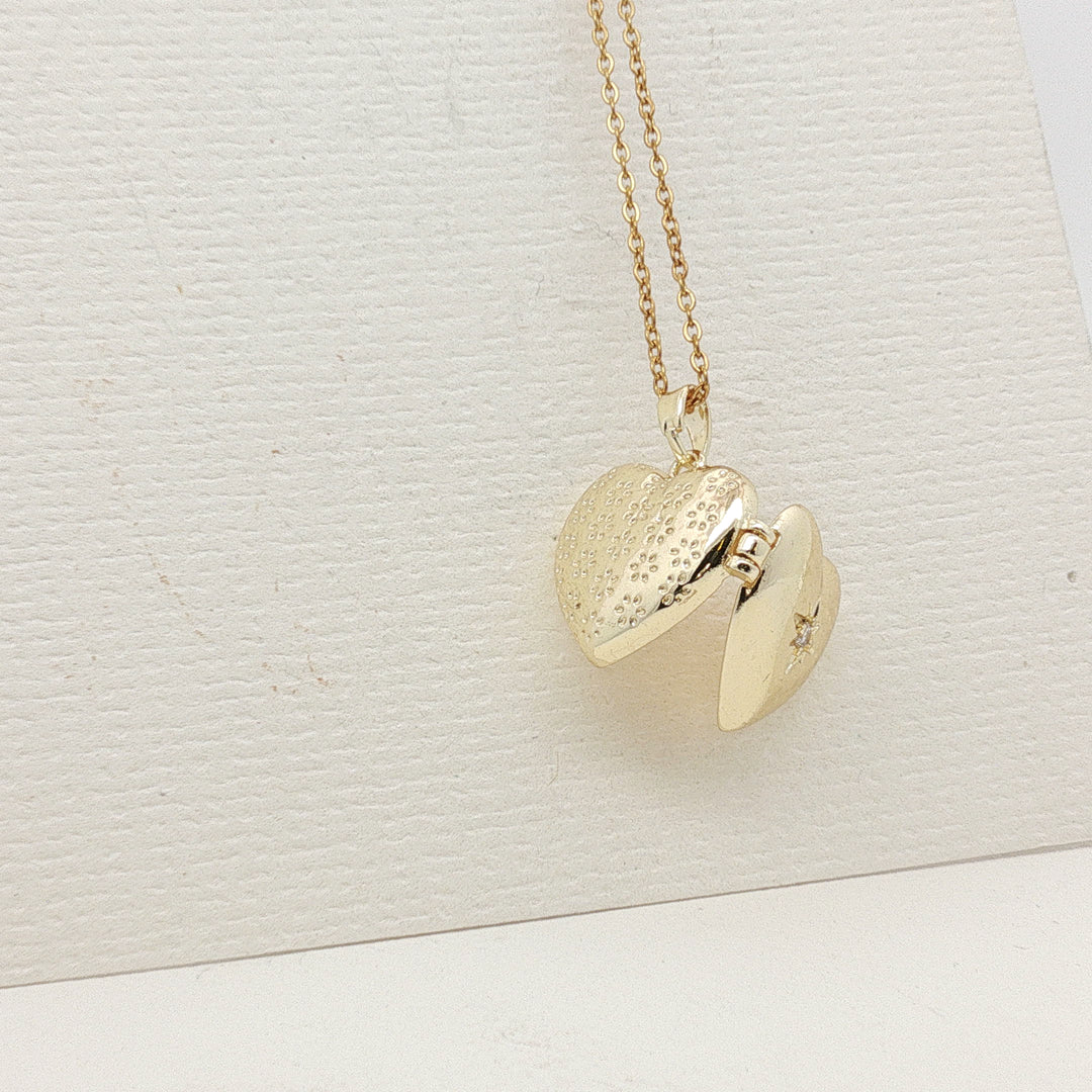 Starlit Heart – 14K Gold-Filled Stainless Steel Medallion Necklace with Zirconia