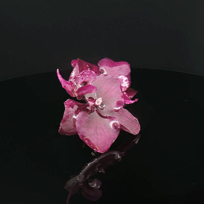 Blossom in Flame – Miniature Orchid Art Earrings