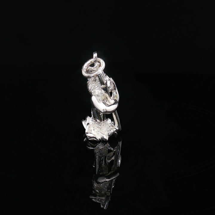 Capricorn — The Sea-Goat of Mastery

Solid Silver Zodiac Sculpture Charm