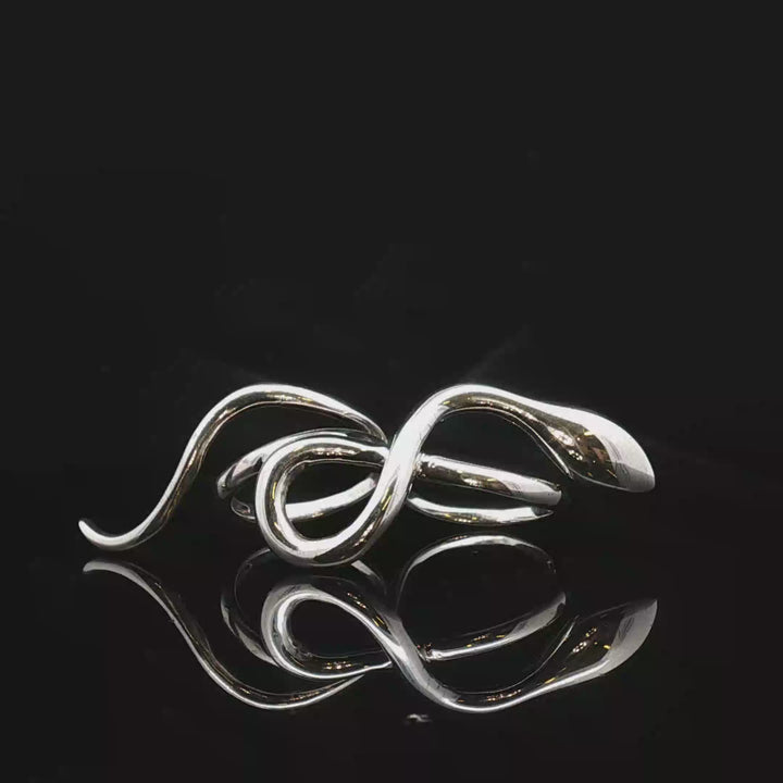 Serpent Echo – Double Snake Ring in Sterling Silver