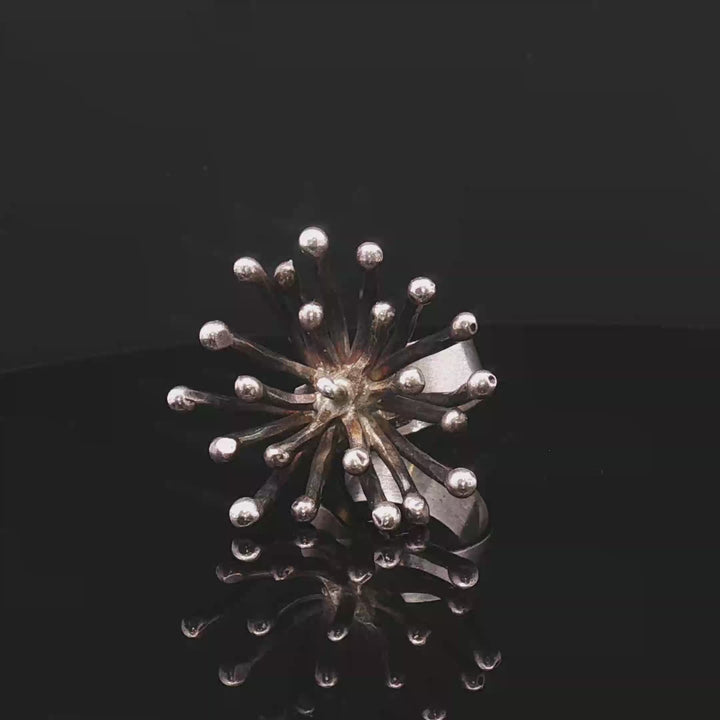 Dandelion of Wishes

Contemporary Sculptural Silver Ring – Collector’s Edition