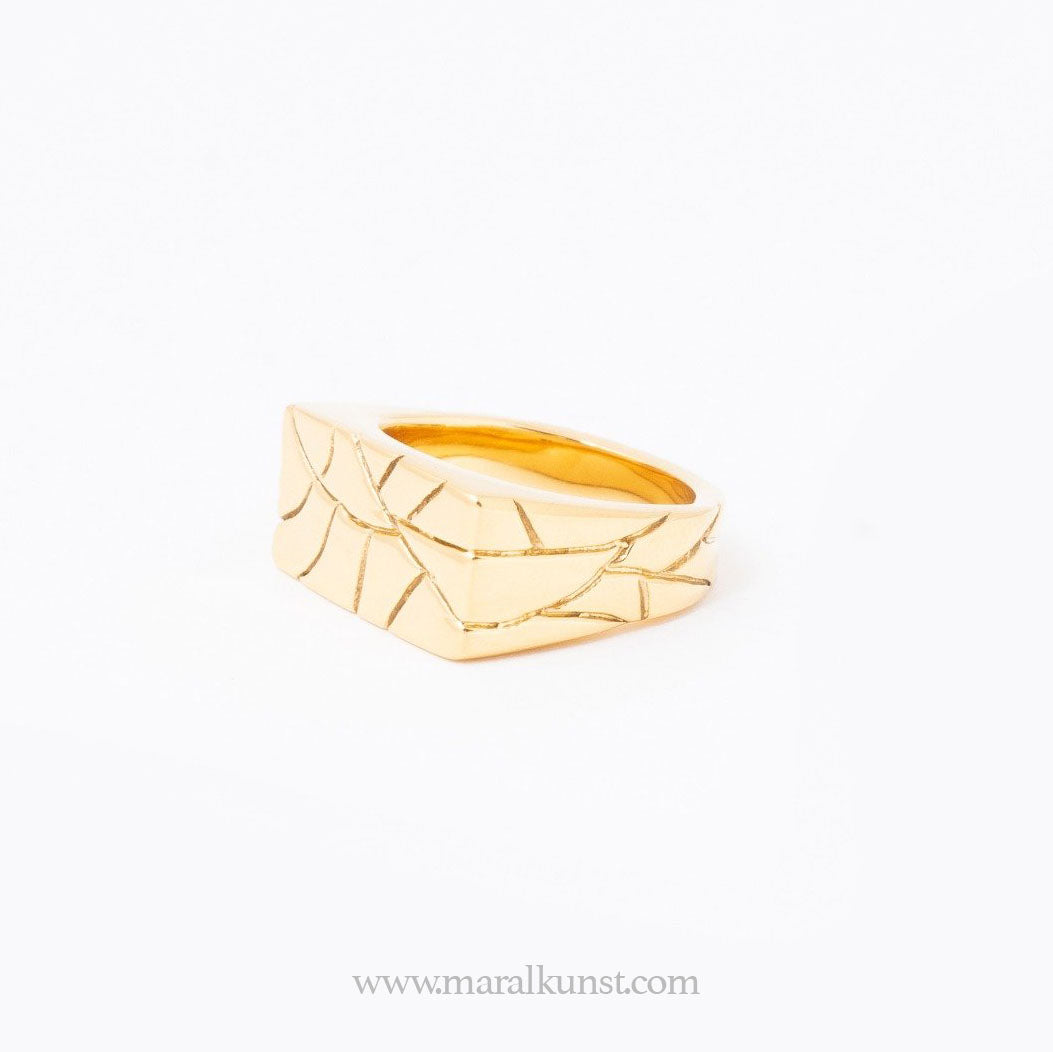 Mara premium Pattern pvd stainless steel Ring